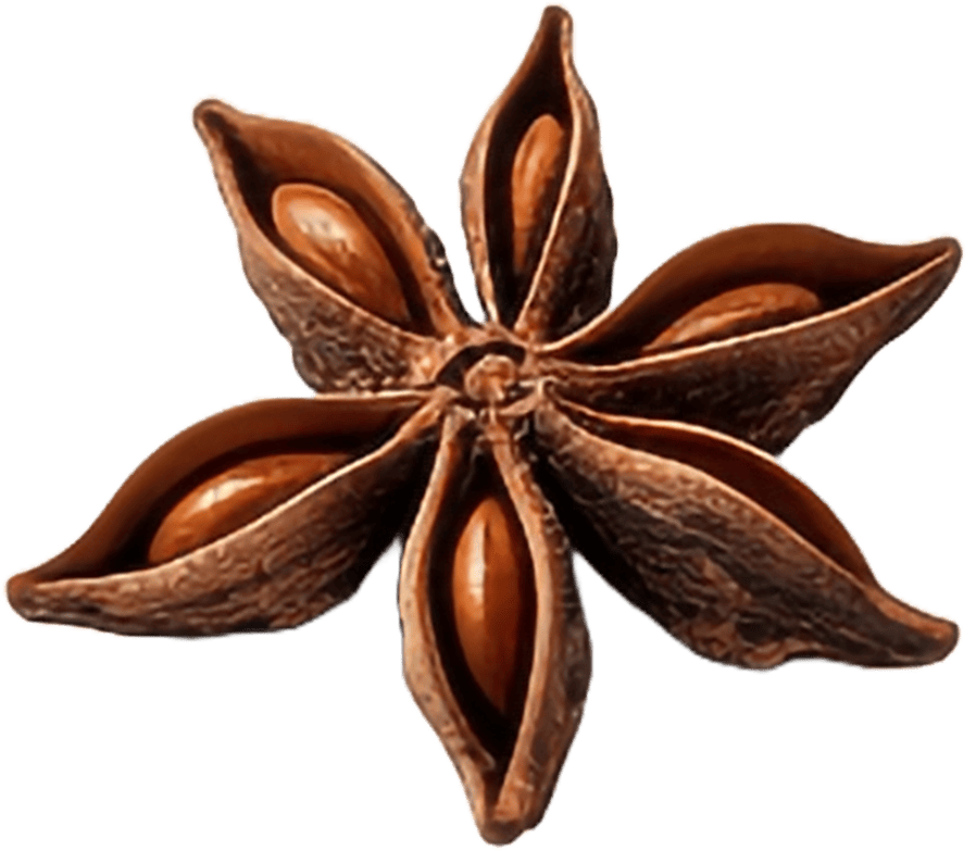Nosafood.com